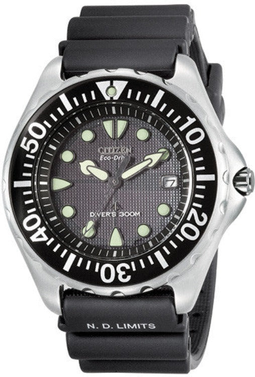 Citizen Professional Divers Ladies Watch EP6000-15H